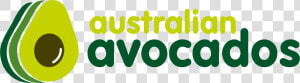 Australian Avocados  HD Png Download