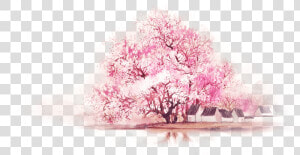 Chinoiserie Pink Watercolor Painting Wallpapers   Blossom Tree Watercolor Png  Transparent Png