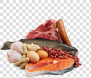 Seafood Meat Fish Protein   Meat And Fish Png  Transparent Png