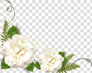 Transparent Gardenia Png   White Flower Corner Png  Png Download