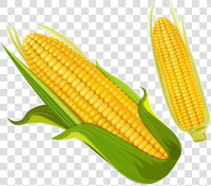 Corn Golden Clipart Food Transparent Png   Corn Clipart  Png Download