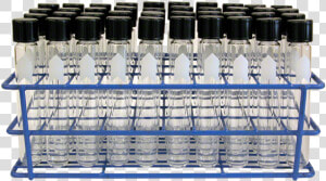 Autoclavable Rack For 20 Mm Test Tubes Data Rimg   Culture Tubes In A Rack  HD Png Download