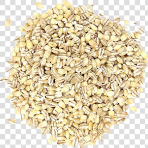 Barley Grain Png Pic   Hulled Barley  Transparent Png