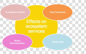 Wp4   Effects Of Ecosystem Services  HD Png Download