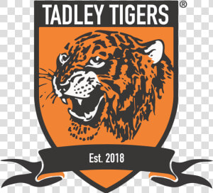 Tadley Tigers Fc   Hull City Logo Png  Transparent Png