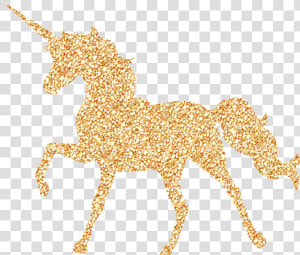 Unicorn Unicorns Glitter Glittery Fantasy Gold Golden   Glitter Rainbow Unicorn  HD Png Download