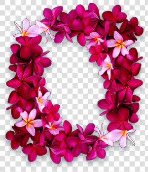 Hawaiian Leis Flower Png  Transparent Png