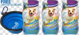 Dog Vitamin Water With Electrolytes   Dog  HD Png Download