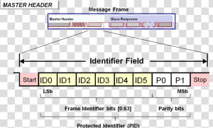 Master Header Identifier Field   Napierove Kosti  HD Png Download