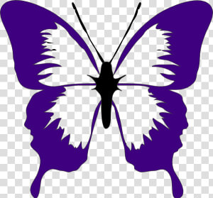 Purple Butterflies Clip Art Purple Butterflies Clip   Purple Butterfly Clipart  HD Png Download