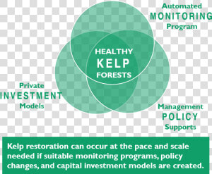 Kelp 3part   Circle  HD Png Download