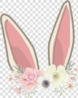  orelhasdecoelho  orelhas  coelhinho  coelhinha  coelho   Rabbit Ears Clip Art  HD Png Download