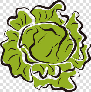 Iceberg Salad Clip Art Royalty Free   Lettuce Clip Art  HD Png Download