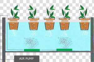 Hydroponics With Air Pump   Png Download   Hydroponic System  Transparent Png