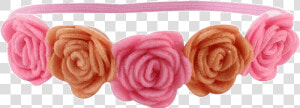 Petite Bello Headband Champagne Rose Flower Champagne   Headband  HD Png Download