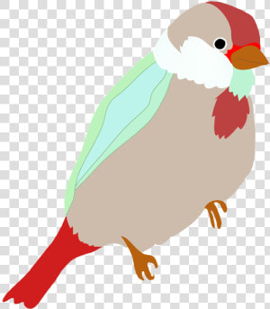 Sparrow Colored   Colored Bird Logo Png  Transparent Png