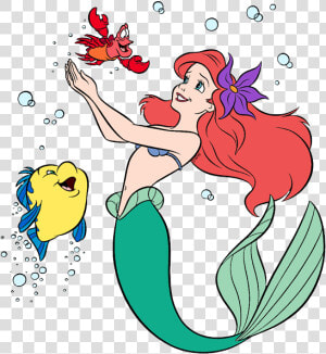 Sebastian Little Mermaid Clipart  HD Png Download