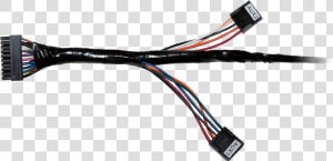 Transparent Aux Cord Png   Networking Cables  Png Download