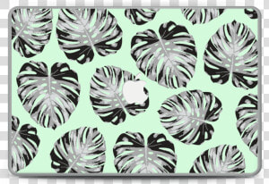 Mint Leaves Skin Macbook Pro 15”   Laptop  HD Png Download