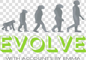 Human Evolution   Human Evolution Png Transparent  Png Download