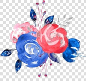  watercolor  flowers  redwhite amp blue  fourth  independanceday   Garden Roses  HD Png Download