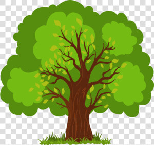 Euclidean Vector Tree   Vector Tree Png Clipart  Transparent Png