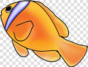 Gold Fish Clipart Swimming Animal   Fish Swimming Clipart Png  Transparent Png