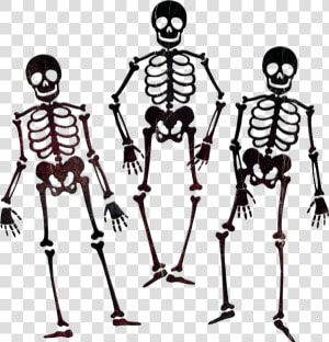 Squelettes Png  Dessin  Tube   Skeleton Black And White Png  Transparent Png