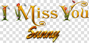 Sunny Missing You Name Png   Calligraphy  Transparent Png