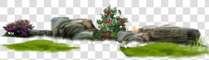  ftestickers  landscaping  garden  flowers  stones   Landscape Png Garden  Transparent Png