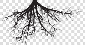 Transparent Helping Others Clipart   Tree Roots Silhouette Png  Png Download