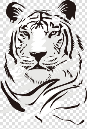 Transparent Tiger Face Png   Dibujo De Un Tigre Blanco  Png Download