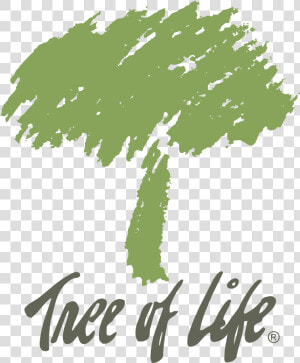 Tree Of Life Logo Png Transparent   Graphic Tree Of Life  Png Download