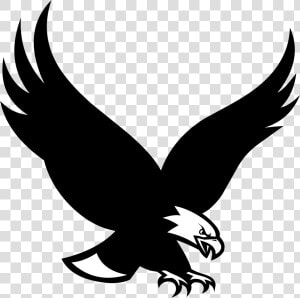 Of Prey golden Art black And White falconiformes kite   Boston College Eagle Logo  HD Png Download