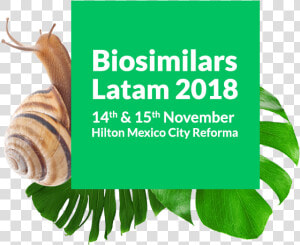 Image   Biosimilars Latam 2018  HD Png Download