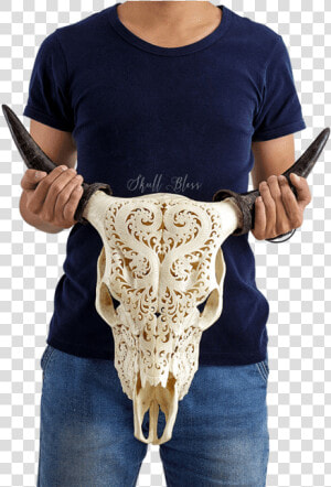 Carved Cow Skull   Skull  HD Png Download