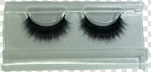 Flossy 100  Mink Lashes Subscription  HD Png Download