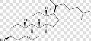 Cholesterol Chemistry  HD Png Download