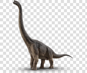 Brachiosaurus   Dinossauro Jurassic World Png  Transparent Png