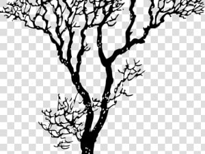 Dogwood Tree Cliparts   Great Sketch Mothers Day  HD Png Download