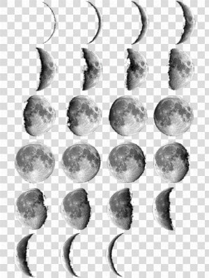 Phases Of The Moon Png Click And Drag To Re Position   New Moon Watercolor  Transparent Png