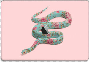 Floral Snake Skin Macbook Pro 15” 2016    Snake Drawing  HD Png Download