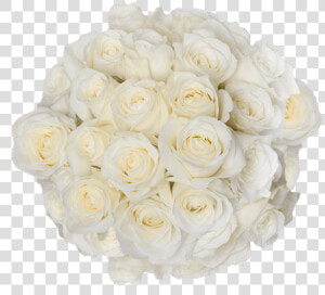 Pure White Roses For Bridal Bouquets Sugar Doll Roses   Floribunda  HD Png Download