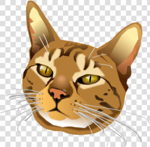 Fawn head art   Cat Yawns  HD Png Download