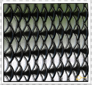 Striperscales   Chain link Fencing  HD Png Download