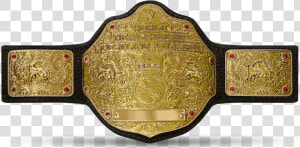 World Heavyweight Championship  HD Png Download