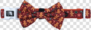 The Gingerbread Man Comfort Dog Collar And Bow Tie   Paisley  HD Png Download