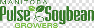 Manitoba Pulse And Soybean Growers   Manitoba Pulse Growers  HD Png Download