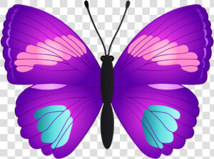 Butterfly Transparent Png   Butterfly Pink Teal And Purple  Png Download