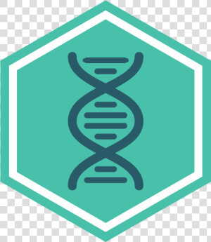 Life Sciences   Seattle Public Library  HD Png Download